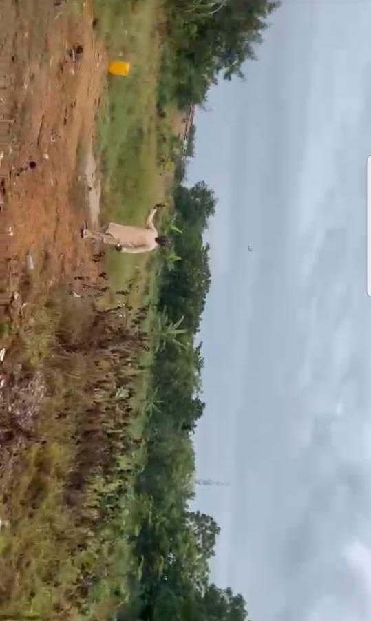 38 Plots of Land for Sale at East Legon, American House